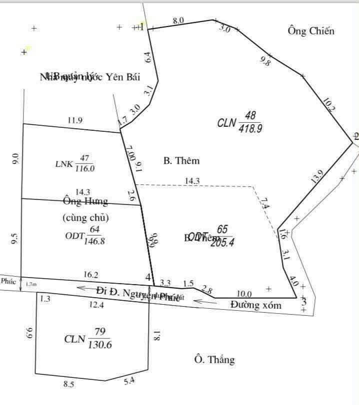 Tìm đâu ra mảnh đất 1100m² vuông vắn, đẹp như tranh vẽ