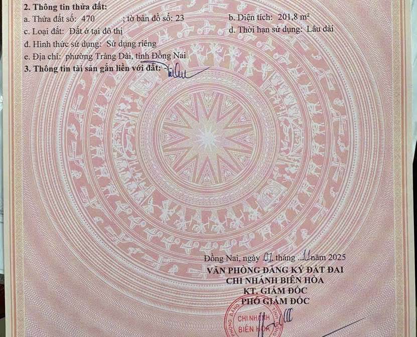 Lạc bước giữa lòng Trảng Dài, Đồng Nai, nơi hai con đường xe hơi song hành Bùi Trọng Nghĩa