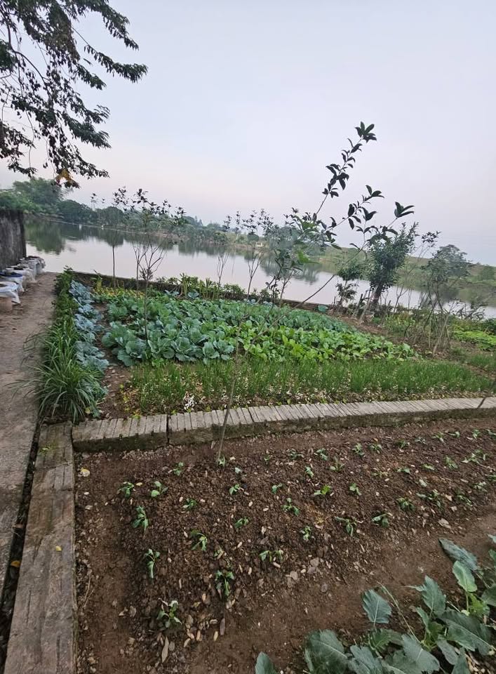 Đất nền 55m2 view hồ tuyệt đẹp, tiềm năng đầu tư sinh lời tại Phúc Thọ, Hà Nội