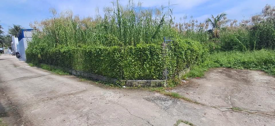 Đất vàng Bình Phú, mặt tiền rộng, dân trí cao, giá chỉ 790 triệu