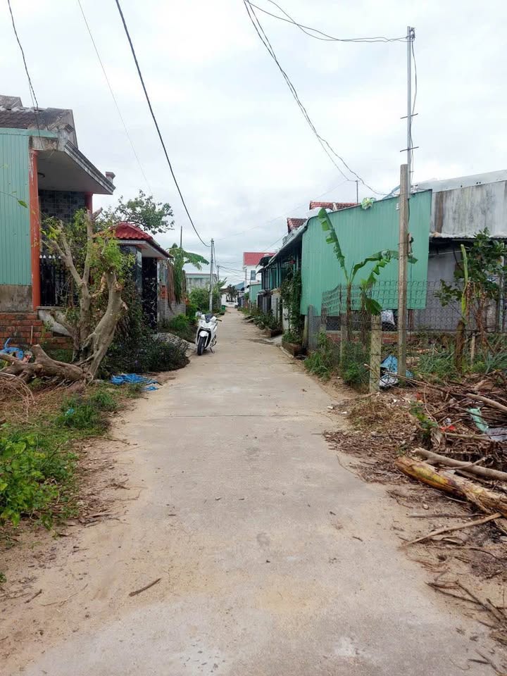 Siêu phẩm đất nền tại Huyện Tuy Phước, Tỉnh Bình Định đây rồi