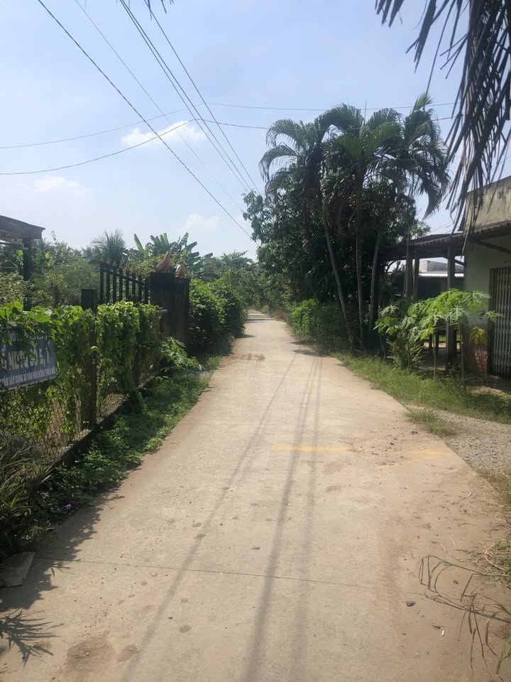 Bán đất vườn dừa hơn 4000m² mặt tiền đường xe hoa lâm, Bến Tre