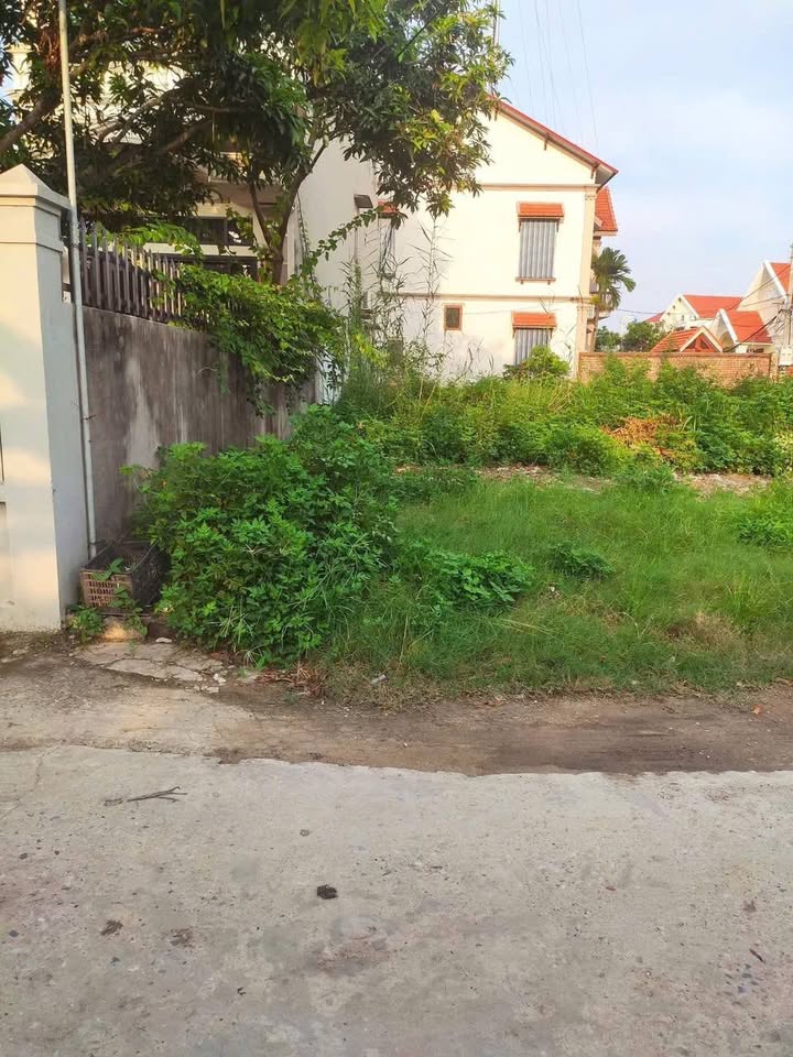 Cơ hội sở hữu ngay căn nhà siêu đẹp tại khu Thanh Liễu, phường Tân Hưng