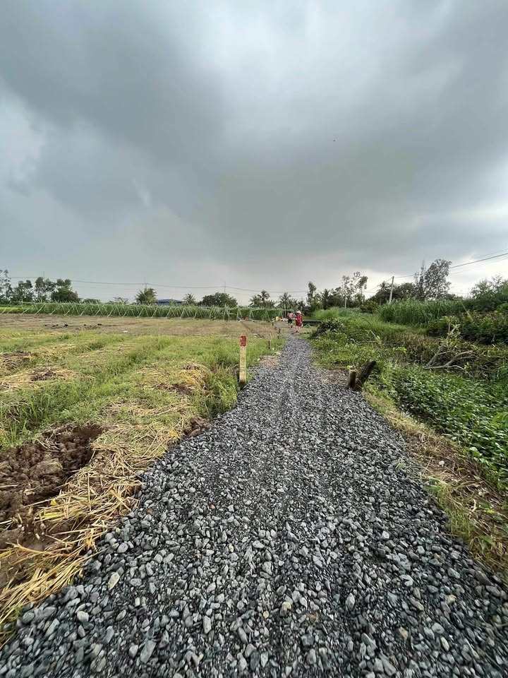 Đất vàng Long Hải 100m2 thoáng mát, sổ hồng riêng, giá yêu thương