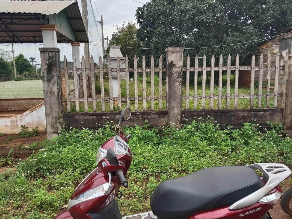 Cơ hội sở hữu ngay lô đất mặt tiền đường nhựa Phú Xuân, Đắk Lắk với diện tích 10m x 50m