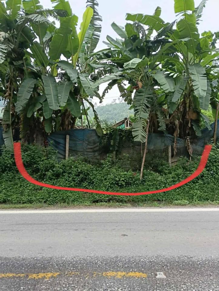 Bán đất 200m2 mặt tiền Quốc lộ 70, Phú Thọ, tha hồ kinh doanh buôn bán