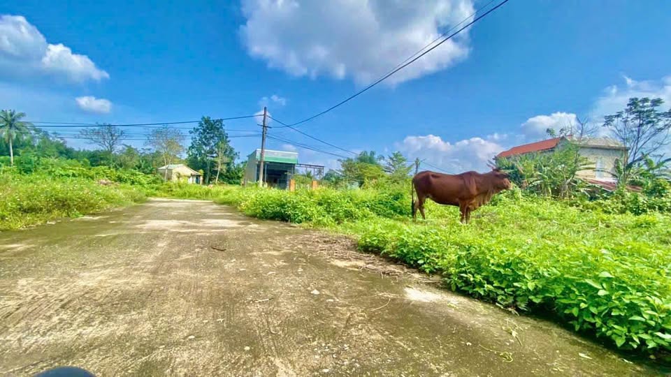 Đất Hoà Phong, Hoà Vang 120m2, ngang 6.5m, giá tốt, dân cư đông đúc