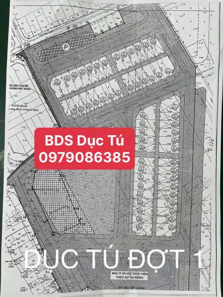 Siêu phẩm đất đấu giá Dục Tú đang làm mưa làm gió thị trường với mức giá giảm kịch trần