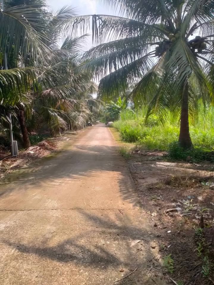 Đất Cát Bơm 140m2 xe hơi quay đầu, bao sổ chỉ 550 triệu