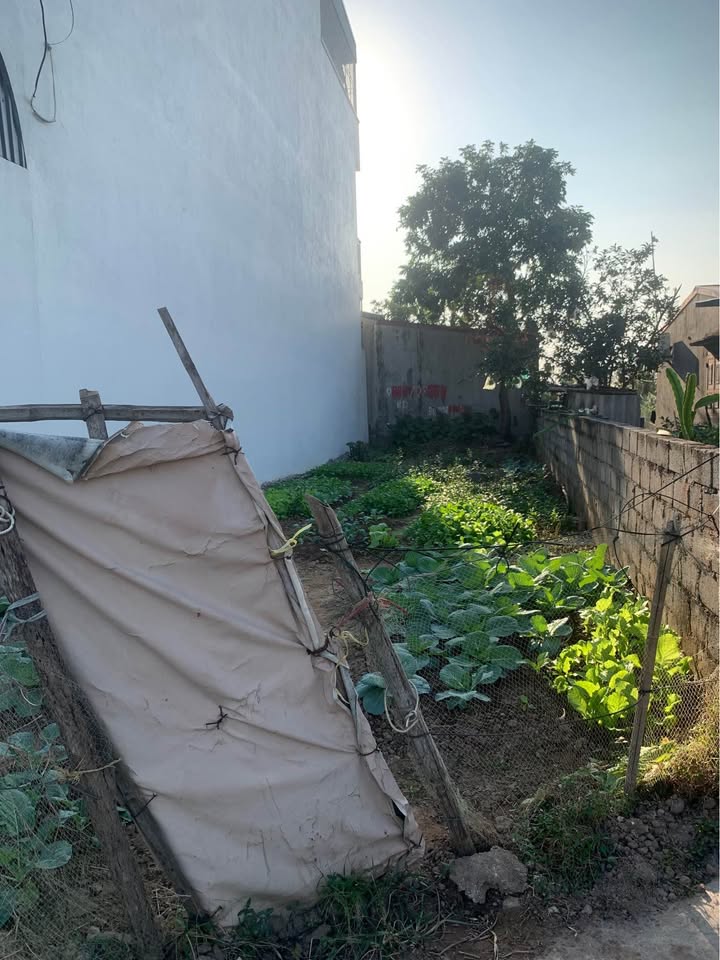 Chính chủ gửi bán lô đất vuông vắn tại Quý Kim, Hợp Đức, Huyện Kiến Thụy, Thành phố Hải Phòng