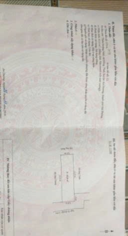 Chính chủ cần cho thuê nhà nguyên căn dạng ống có thể sửa vào ở ngay