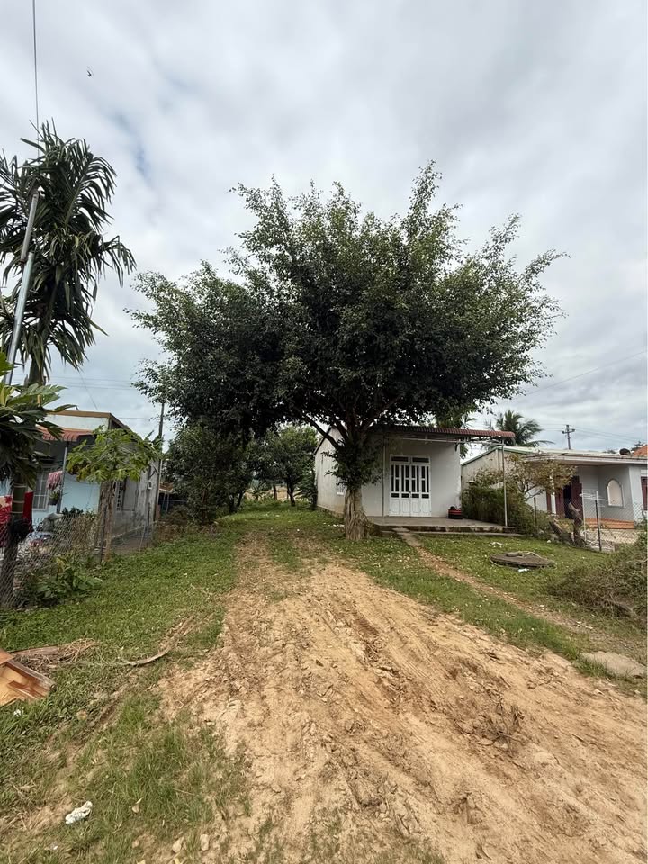 Chính chủ gửi lô đất cực phẩm, tặng kèm nhà cấp 4 còn mới tinh, sẵn sàng đón chủ nhân mới