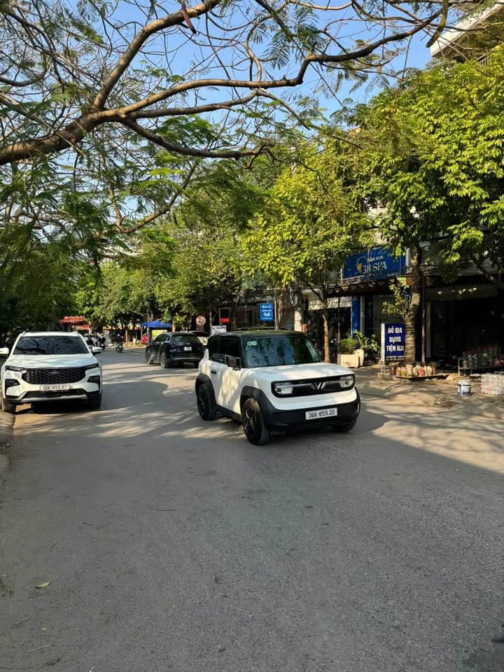 Bán nhà 4 tầng 100m² mặt tiền 5m, view công viên tại Phạm Vấn, Thanh Hóa