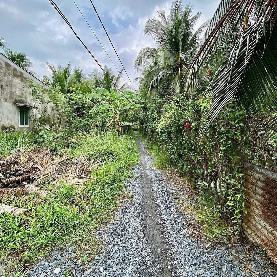 Siêu phẩm nhà vườn "hàng hiếm" tại Phường 6, Thành phố Bến Tre