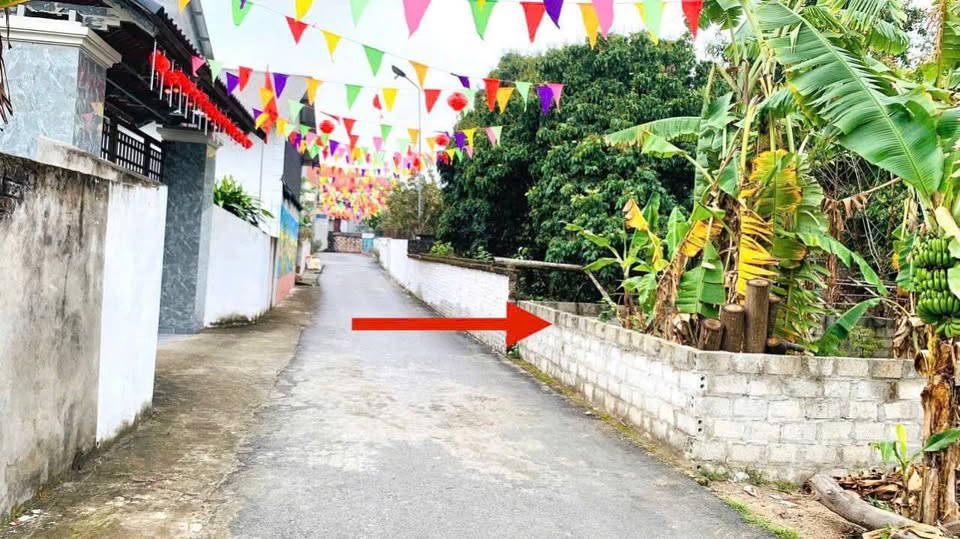 Lô đất vàng 98m2 tại Hương Sơn, Bình Xuyên - Gần KCN Khai Quang