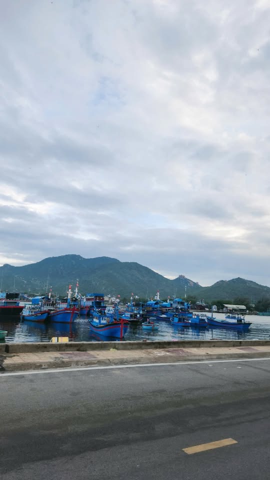 Bán đất tái định cư Ninh Chữ, 70m2, ngang 5m, cách biển 20m, giá 1,45 tỷ