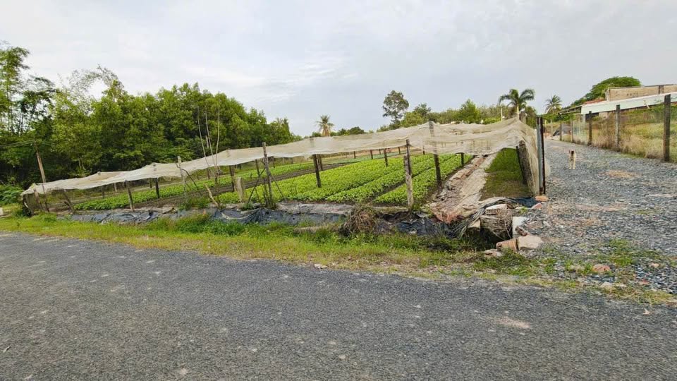 Bán lô đất tiềm năng tại Trí Bình, Châu Thành, Tây Ninh, mặt tiền đường đá mi rộng 5m