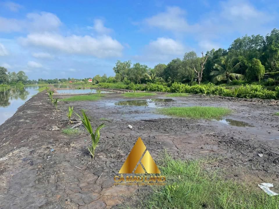 Bán mảnh đất 5930m2 tại Phường 8, thành phố Cà Mau, chỉ với 2.5 tỷ