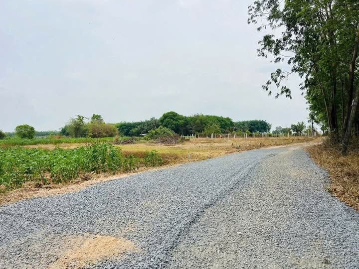 Đất xóm mới Trí Bình, full sổ, giá yêu thương