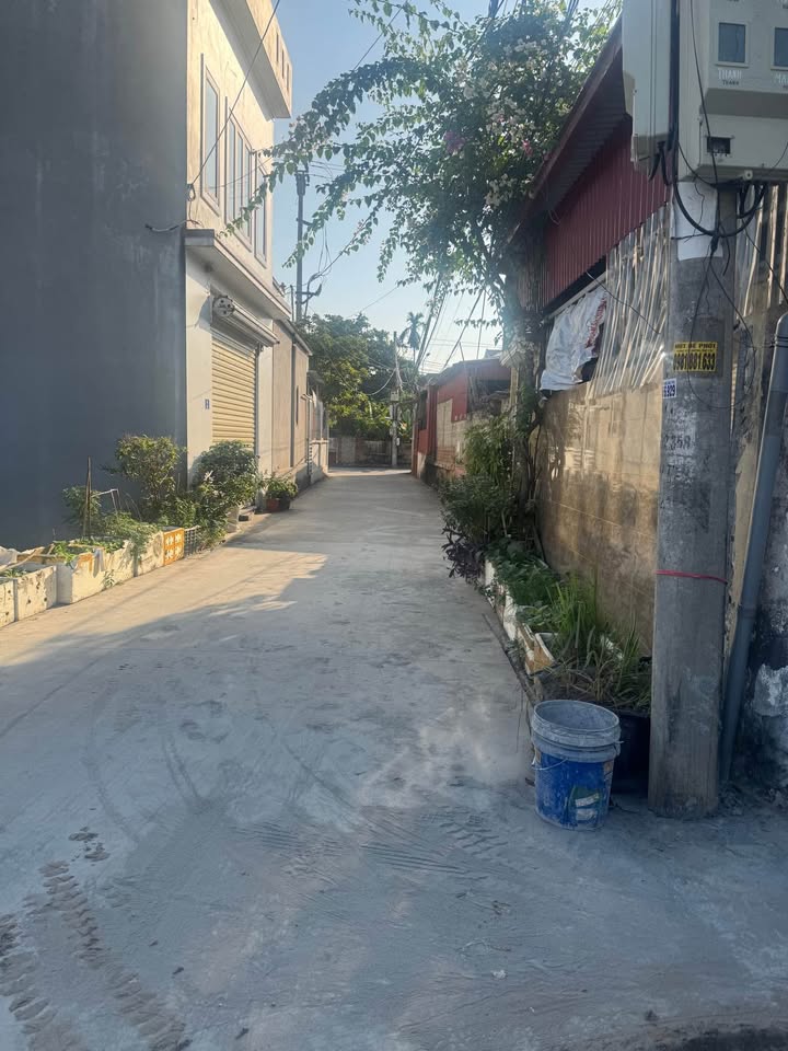 Bán đất góc 100m2, mặt tiền 8m, tặng 90m2 đất vườn, gần Đại Thắng, Hải Phòng