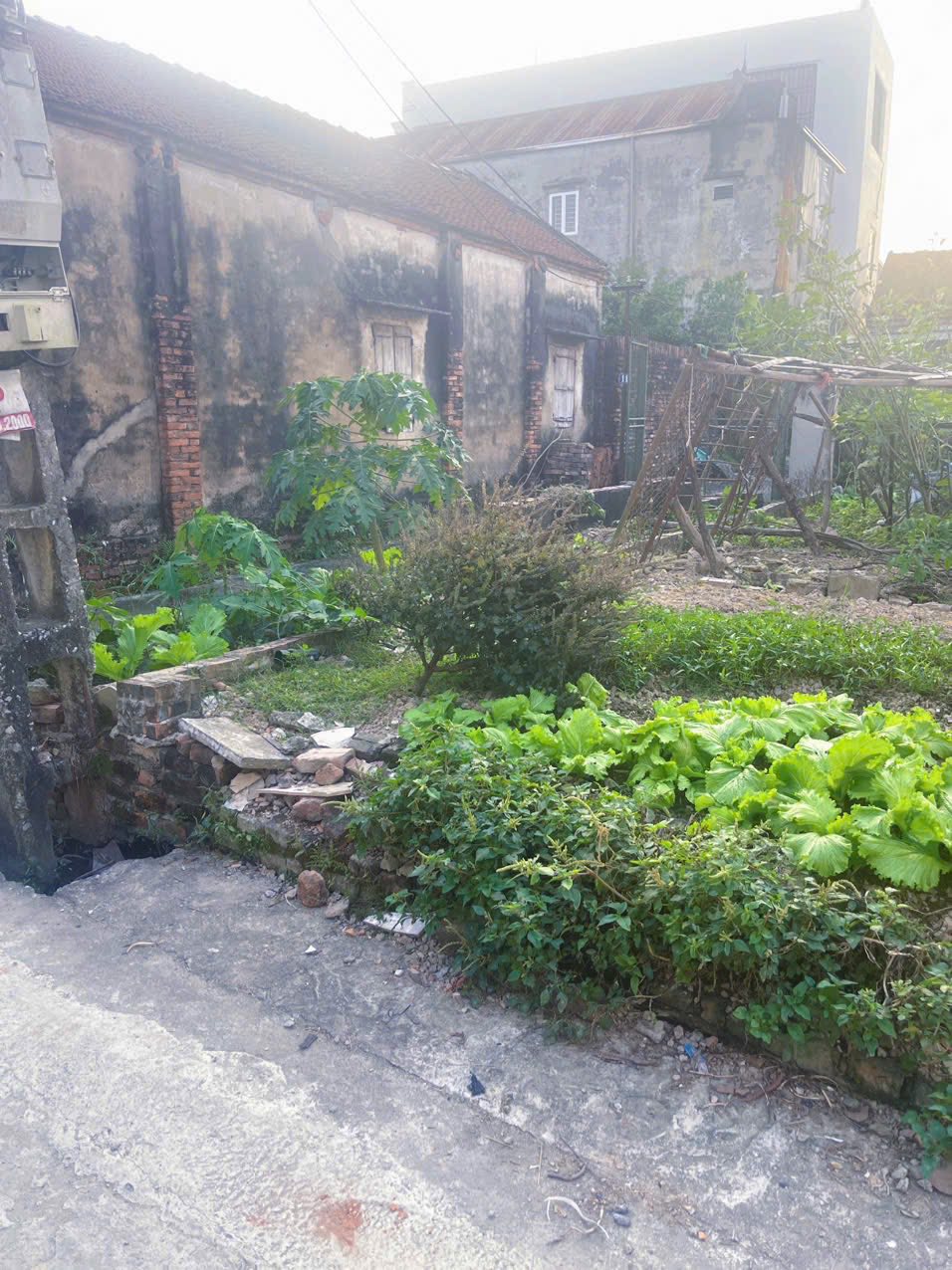 Đất góc 99.1m2, mặt tiền 5.73m, sát khu D Vin Olympic, Hà Nội