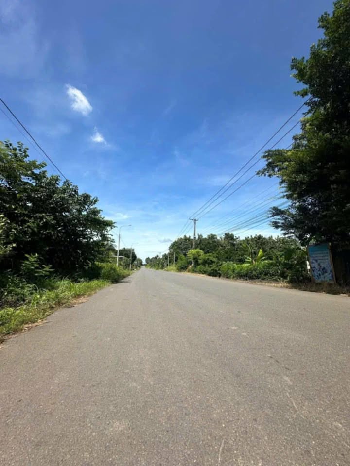 Diện tích 5m x 35m, full thổ cư, sẵn sàng xây tổ ấm hoặc kinh doanh sinh lời