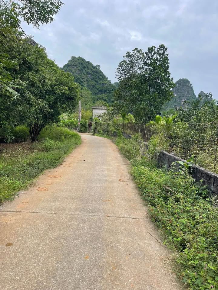 Đất view núi, lưng tựa sơn, đường thông hè thoáng - Sổ đỏ sẵn sàng, chờ chủ nhân