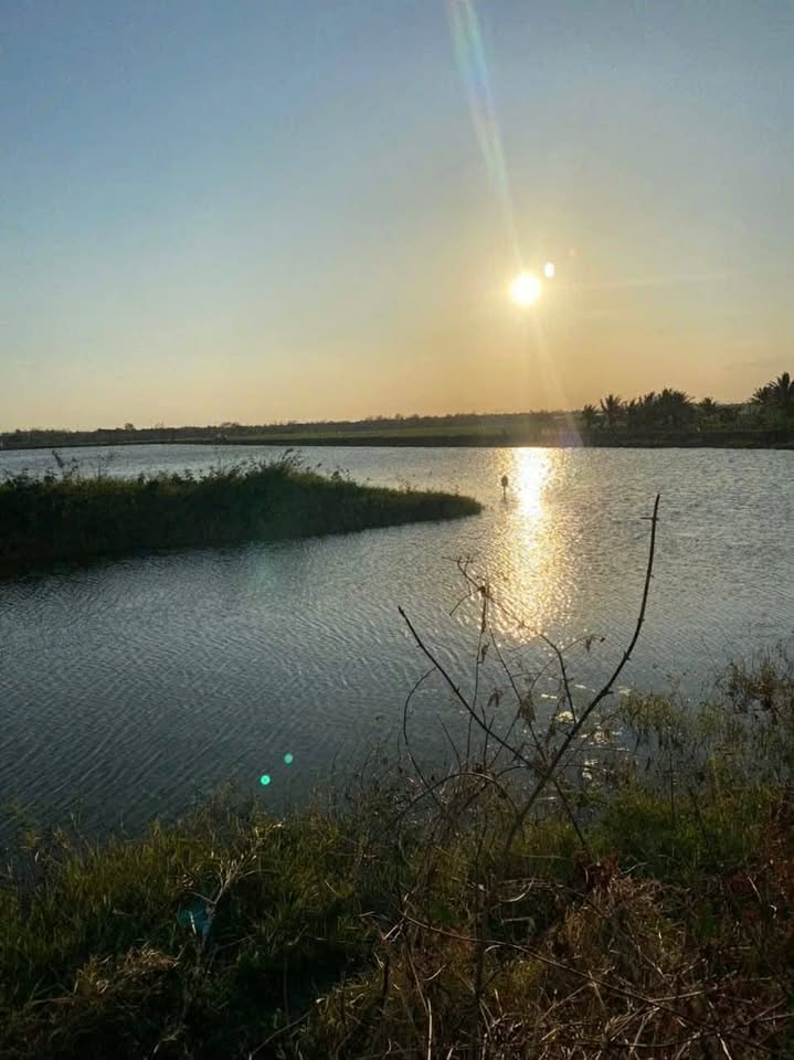 Đất vàng view hồ ngãi, mặt tiền khủng 25m, giá chỉ 1.3 tỷ