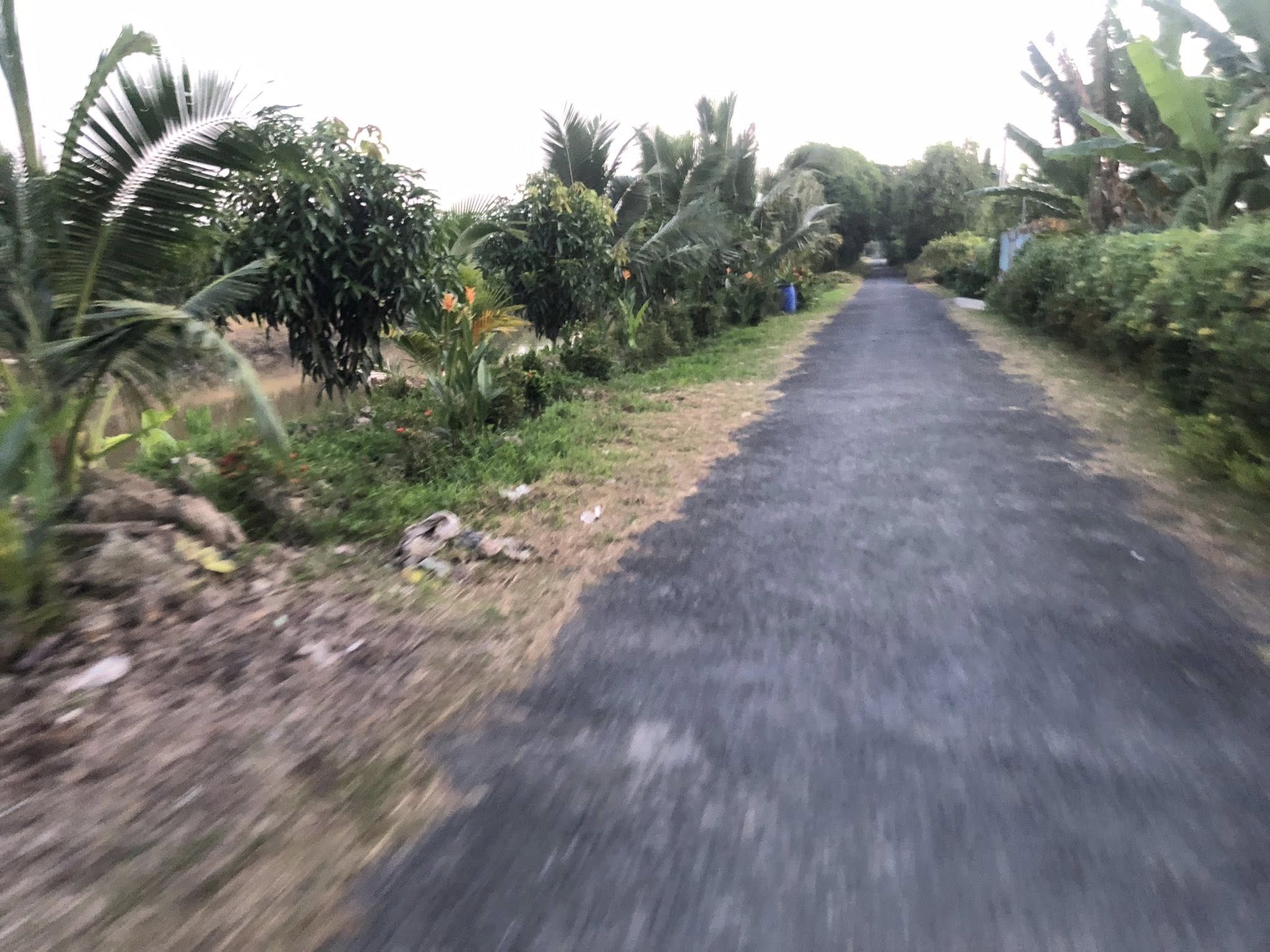 Chào mừng quý vị đến với mảnh đất &#34;vàng&#34; tại Lai Vung, Đồng Tháp