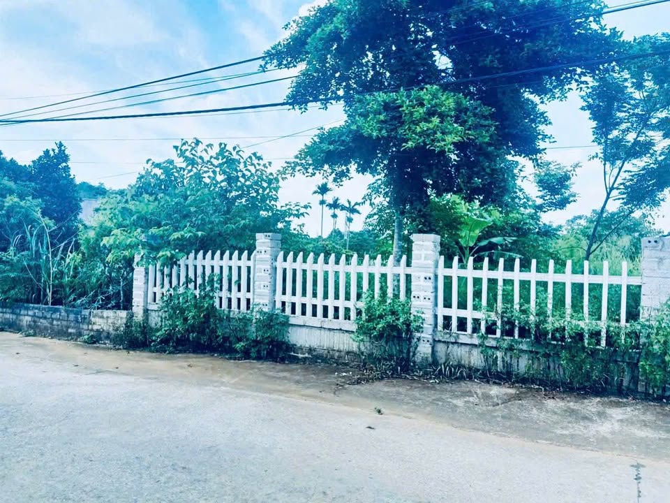 Bán gấp đất Ba Vì, view núi Tản Viên cực đẹp, giá hợp lý