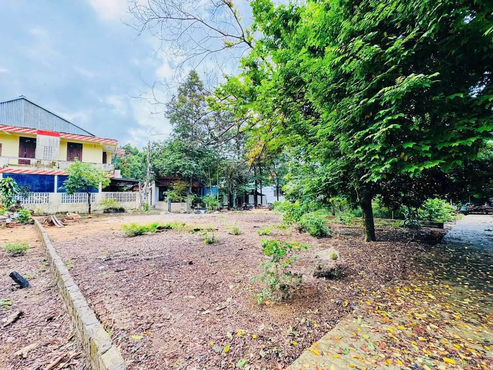 Bán đất kiệt oto Nam Giao, Huế - Sổ đỏ vuông vắn, giá hời