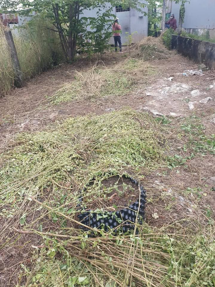 Bán đất nền Rạch Ông Bổn, 5x57m, hướng nam, lộ ô tô tới nền, giá cực kỳ hấp dẫn