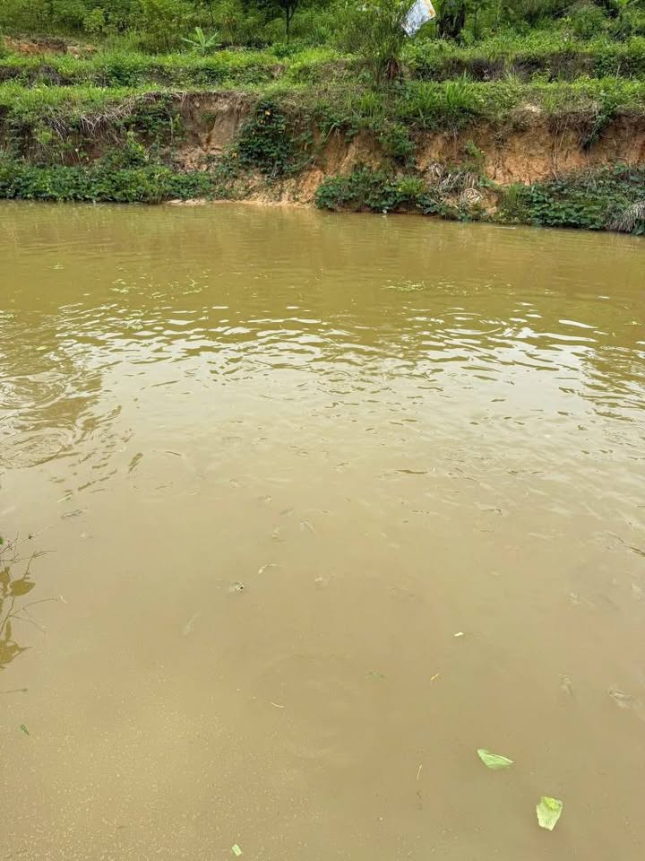 Rẫy 3ha view suối, đang trồng cà phê, sầu riêng, sổ sẵn sàng, giá chỉ 1.85 tỷ