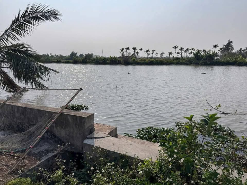 Khám phá một không gian sống lý tưởng với lô đất vườn rộng 1.665m2 tại Hòa Nghĩa, Dương Kinh, Hải Phòng