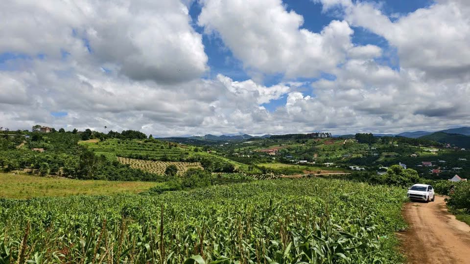 Đất vàng ven Đà Lạt 730m² view núi voi, sẵn thổ cư, giá chỉ 1,3 tỷ