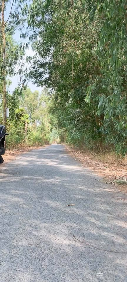 Bán đất tặng kèm mé sông, giá giảm sập sàn chỉ còn 310 triệu