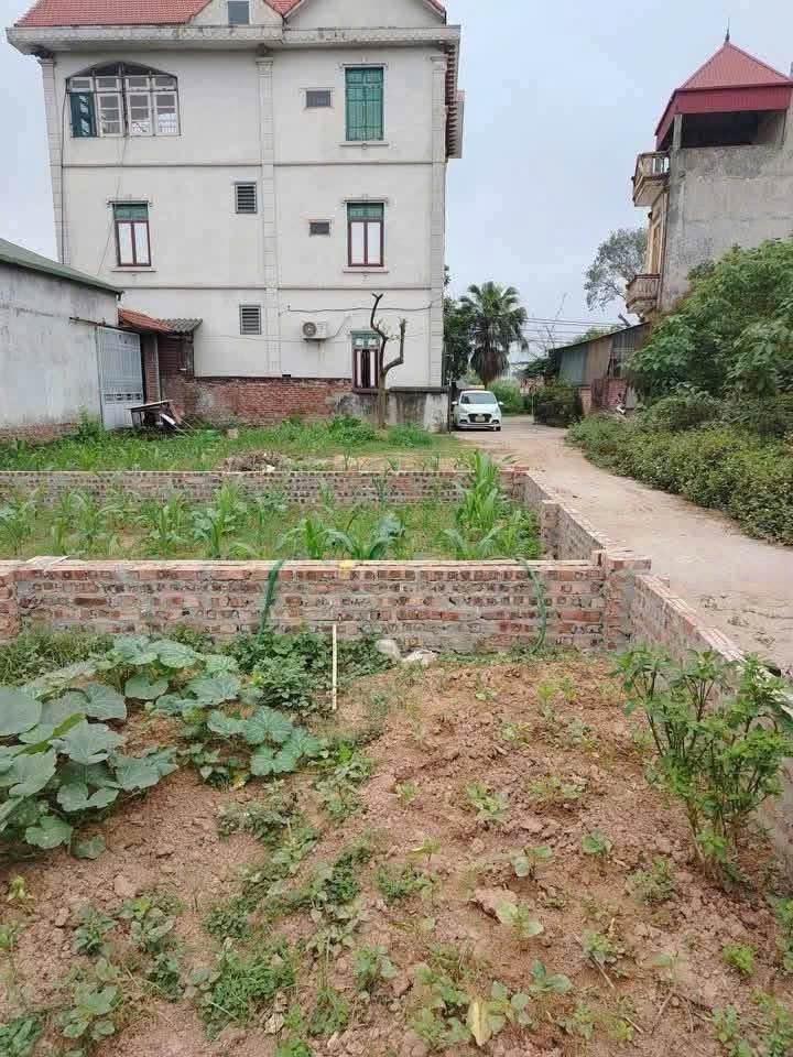 Bán đất vuông đẹp, 43m², ô tô đỗ cửa, chỉ nhỉnh 4 tỷ, gần Vin Cổ Loa