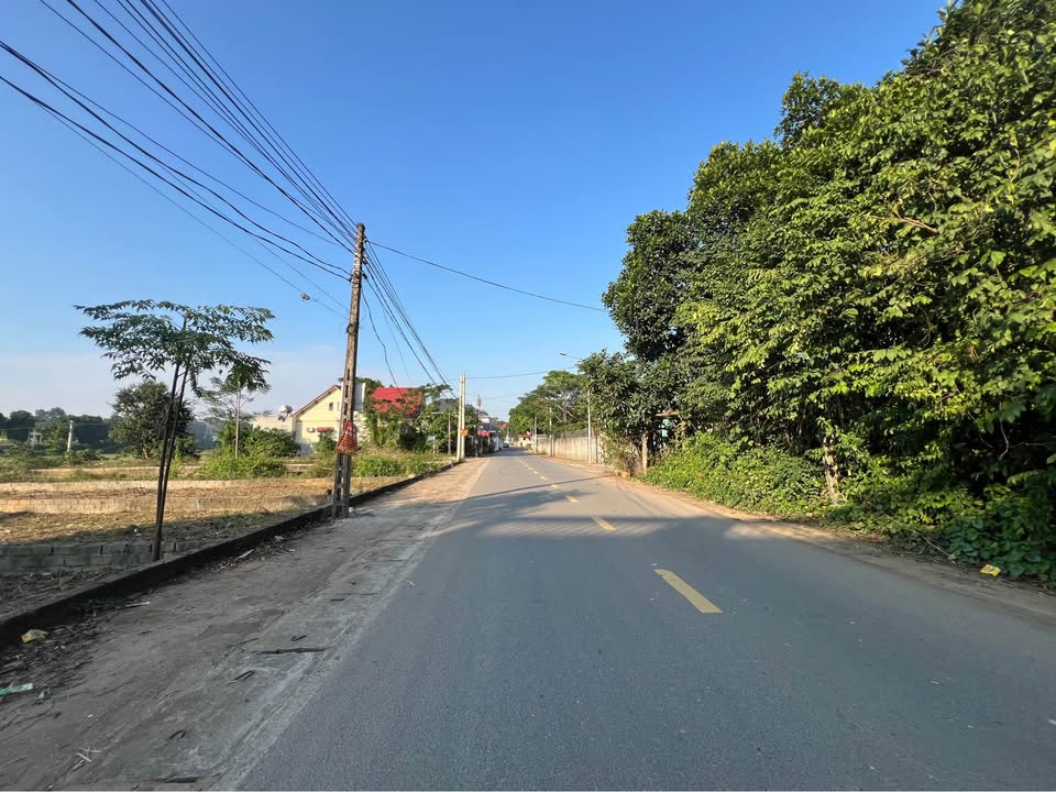 Bán lô đất 173m² trục chính Trại Láng, Hà Nội - Giá tốt, tiềm năng sinh lời cao