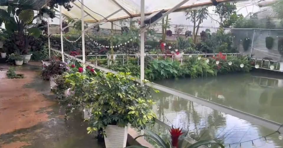 Bán đất tại khu dân cư Hòn Bồ, Phường 12, Thành phố Đà Lạt, Tỉnh Lâm Đồng