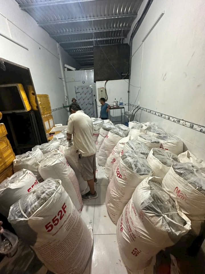 Cho thuê kho lạnh Quy Nhơn, giải pháp lưu trữ hoàn hảo