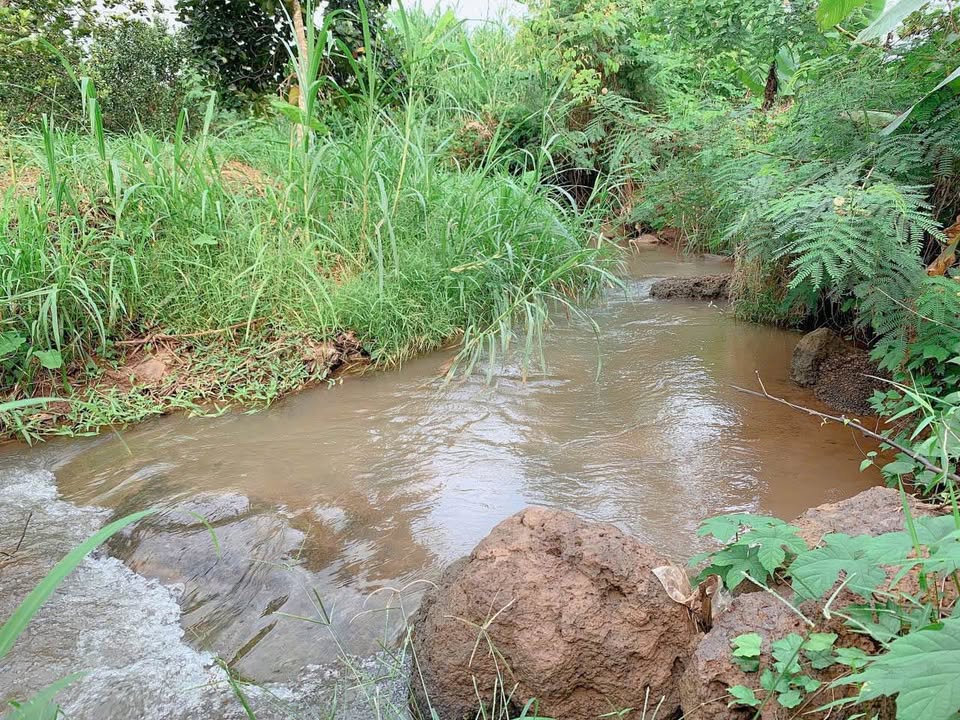 Đất vàng Bà Rịa 4.4ha vườn cây ăn trái, suối chảy róc rách, sát Sài Gòn