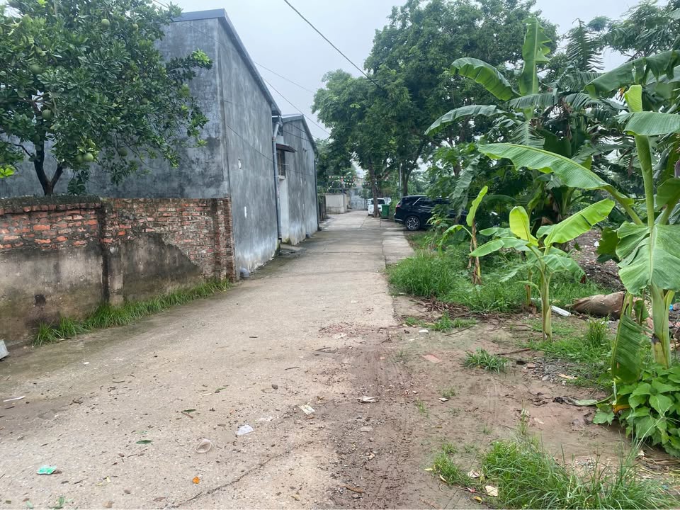 Đất Mê Linh 82m2, đường thông hè thoáng