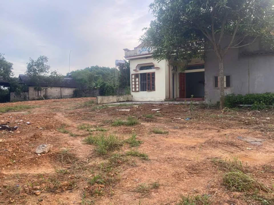 Đất Vô Tranh, Thái Nguyên 4000m2 đất vàng, sẵn nhà cấp 4, giá hời