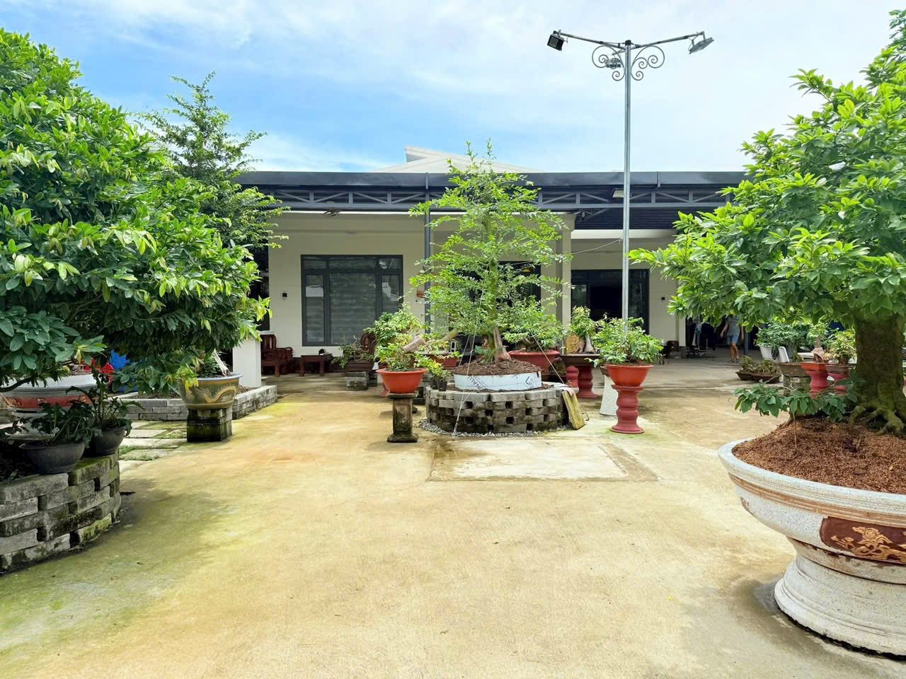 Siêu phẩm nhà sân vườn rộng rãi 960m2 tại Hữu Định, Bến Tre