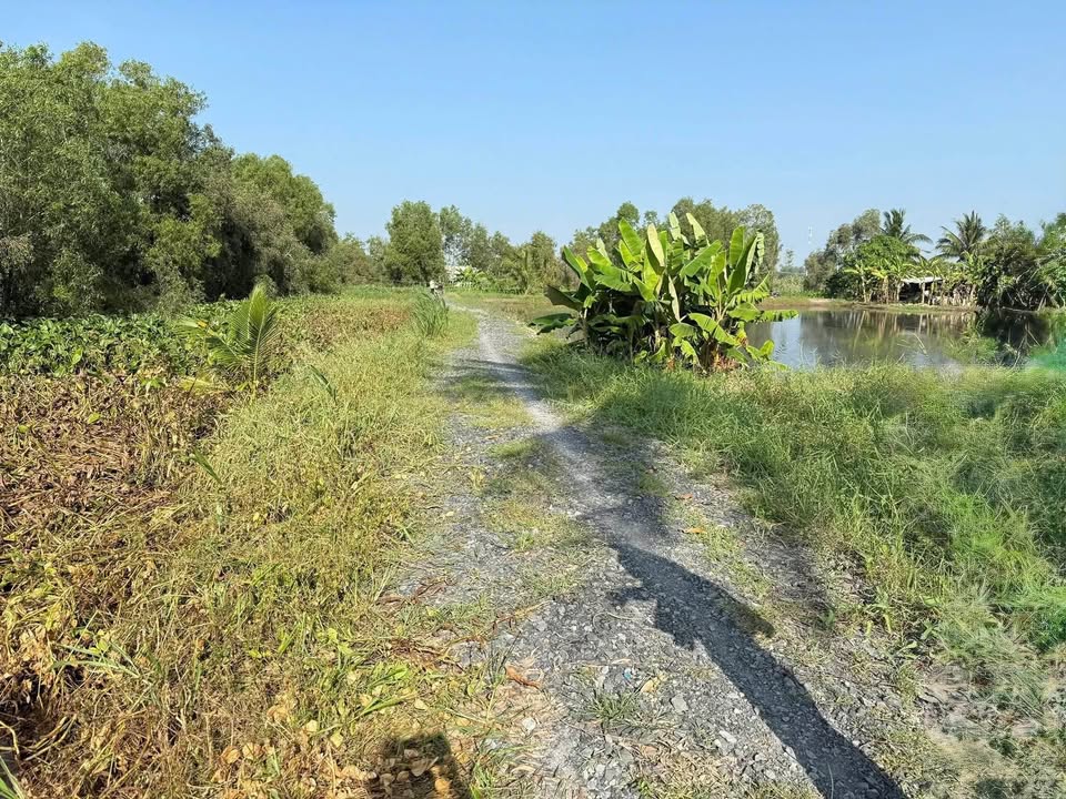 Cần bán 3 lô đất thổ cư liền kề, pháp lý Sổ Hồng Riêng, chính chủ