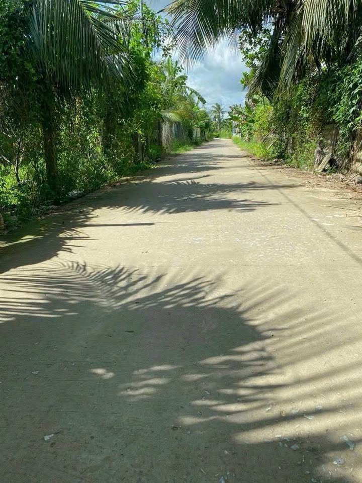 Bán đất vàng Bến Tre, 113m2 thổ cư, đường xe hơi, giá 750 triệu