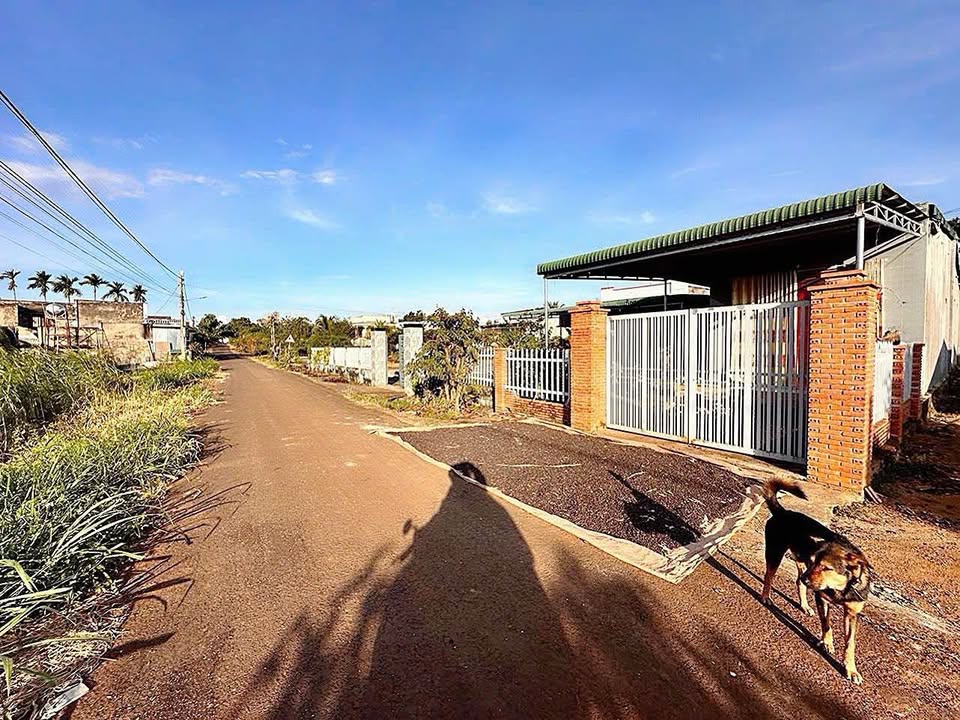 Bán đất hẻm cấp 1 thông Hồ Chí Minh, Hòa Khánh, 650 Triệu