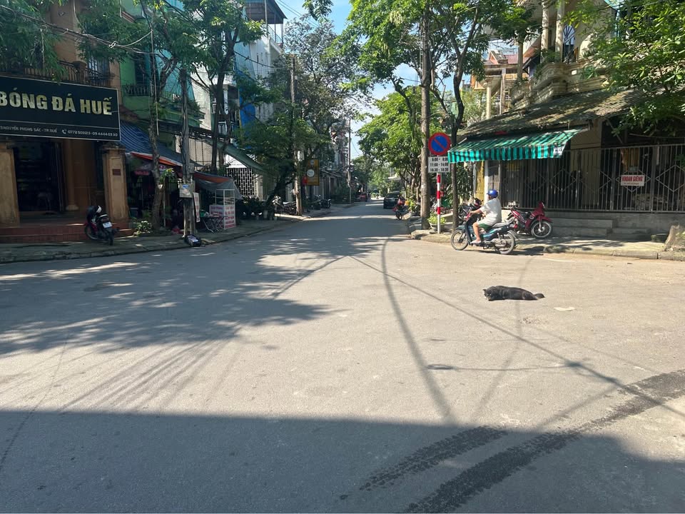 Siêu phẩm 2 mặt tiền kinh doanh, 165m2, ngang 8m, khu vực Kiểm Huệ