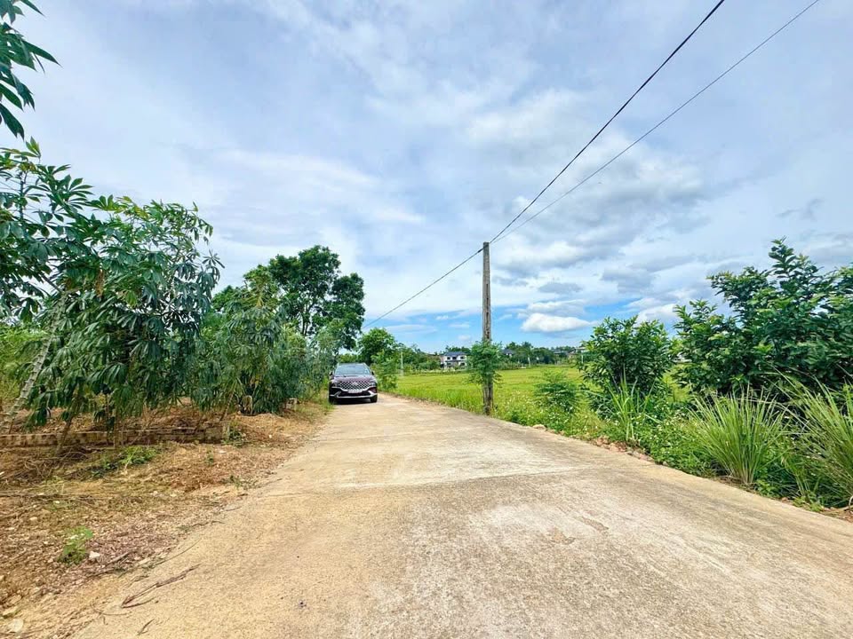 Đất view đồng siêu thoáng, 107,5m2 nở hậu, giá hấp dẫn