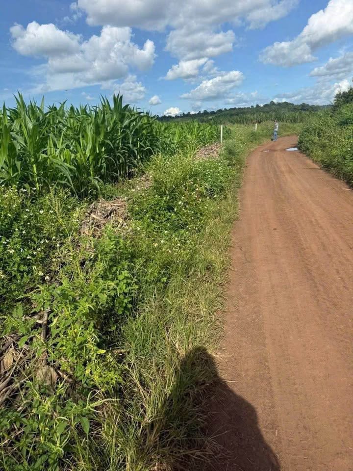 Bán đất Cư Êbur, 500m2 sổ riêng, vuông vắn, giá chỉ 350 triệu